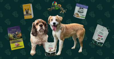A Breakdown of Pet Care Costs for Two Dogs Living in Virginia