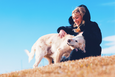 Combined New Year's Resolutions for Pets &amp; Owners