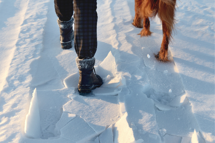 Protecting your dog on winter snow walks. Tips on paw care, safe walking, and responding to salt and antifreeze exposure.