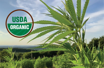 What is a USDA Certification?