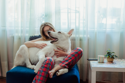 4 Ways to Have the Perfect Date Night With Your Dog