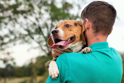 8 Habits to Help You Be the Best Pet Parent