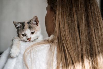 How to Prepare For Your New Rescue Cat