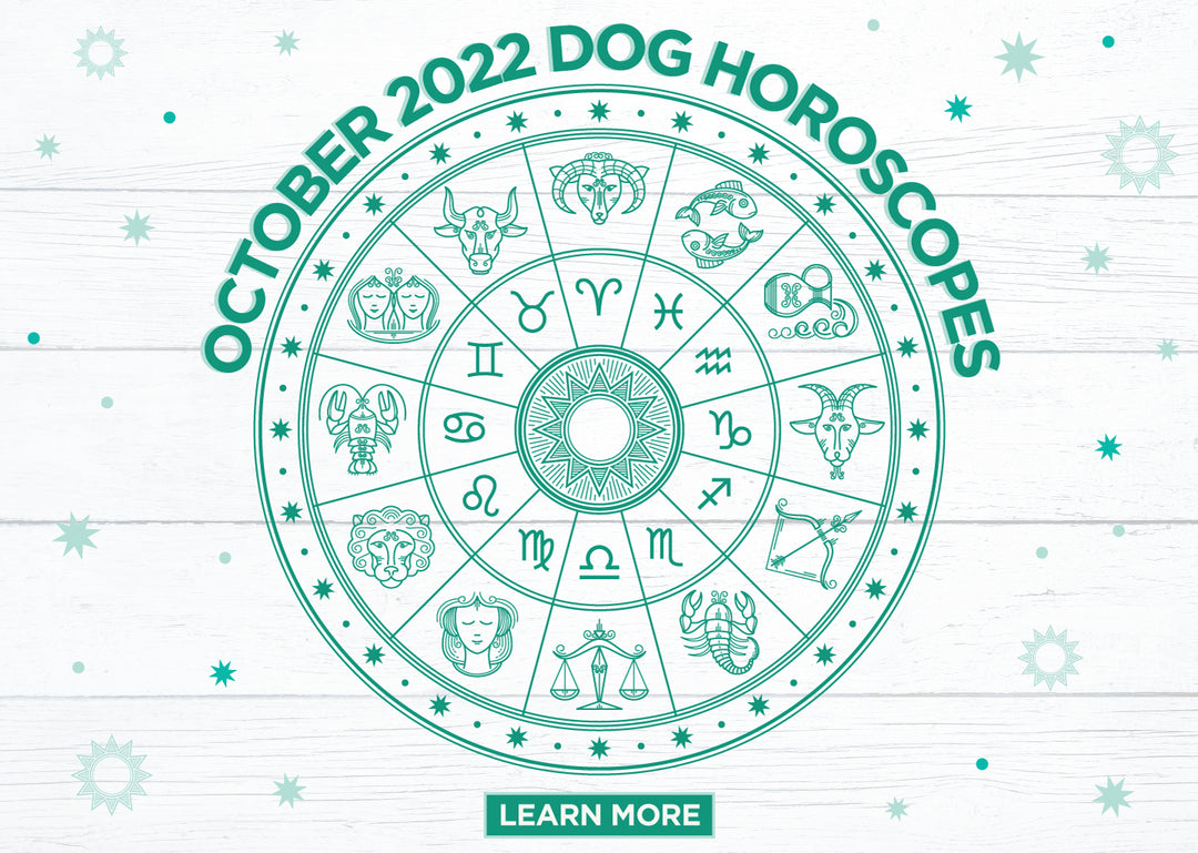 dog horoscopes october 2022