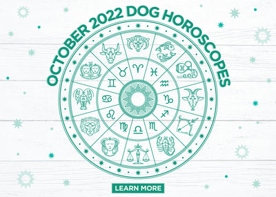 Dog Horoscopes: What to Expect in October 2022