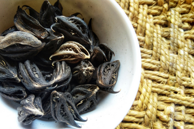 What Is Devil’s Claw and How Does It Support Pet Mobility?