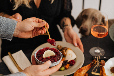 What to Do if Your Dog Eats Thanksgiving Leftovers