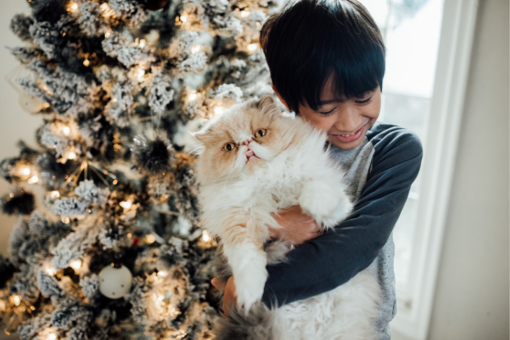 cat holiday christmas tree