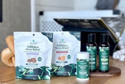 How is CBD for Pets Different than Regular CBD Oil?