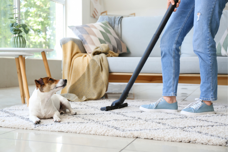 Spring Cleaning Tips for Homes with Pets