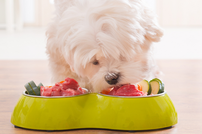8 Vegetables You Can Add To Your Dog’s Diet