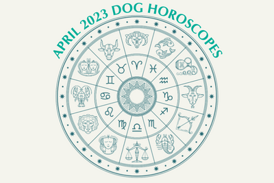 Dog Horoscopes: What to Expect in April 2023