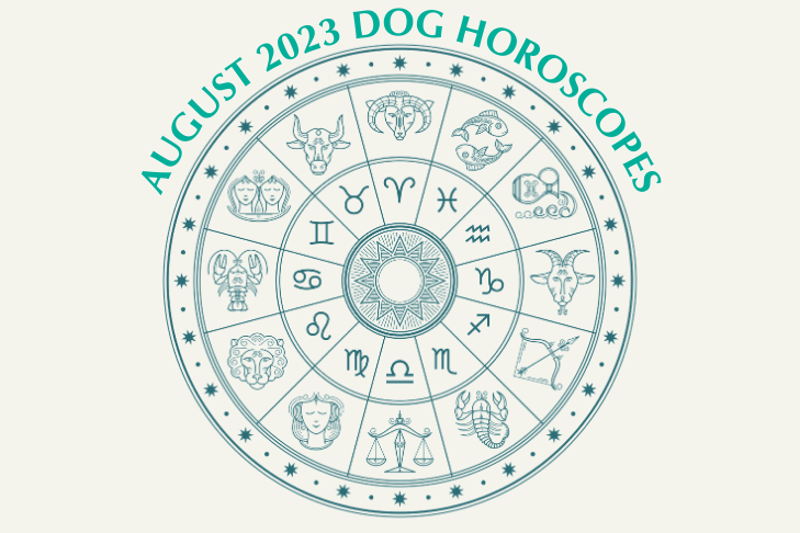 August Horoscope Web Image