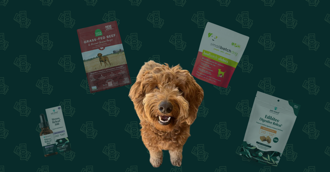 Monthly Budget for a Mini Golden Doodle Living in California