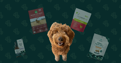 Monthly Budget for a Mini Golden Doodle Living in California