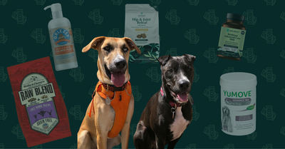 $600 Monthly Budget Breakdown for Two Large Dogs in Denver