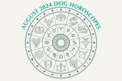 Dog Horoscopes: What to Expect August 2024