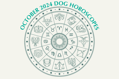 Dog Horoscopes: What to Expect October 2024