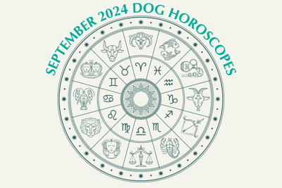 Dog Horoscopes: What to Expect September 2024