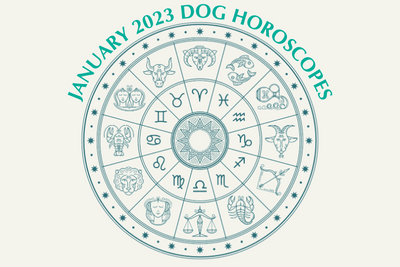 Dog Horoscopes: What to Expect in December 2022