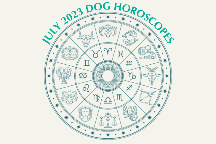 July Horoscope Web Image