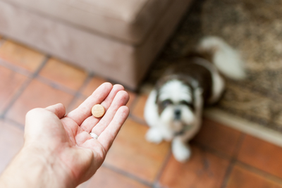 CBD Capsules vs. Tablets For Pets