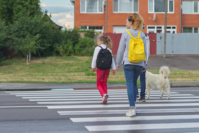 What Pet Releaf Product Are You Based On Your Favorite Elementary School Subject?