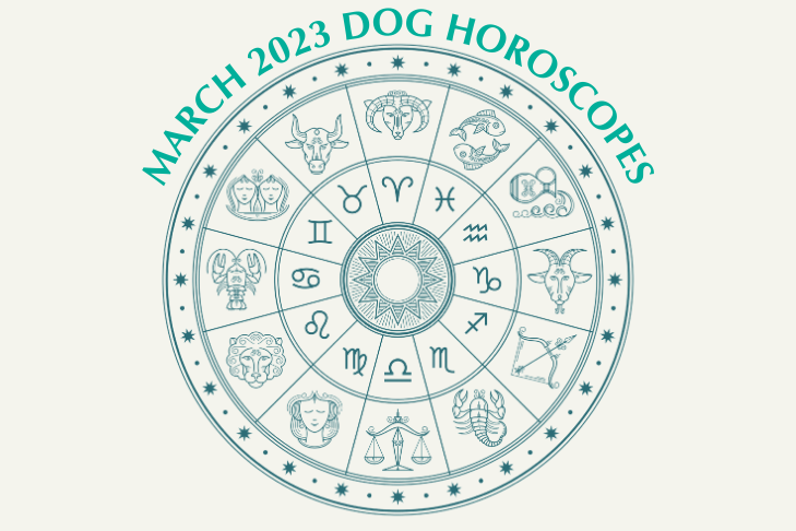 March Horoscope for dogs