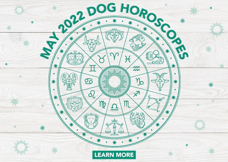 May 2022 Dog Horoscope