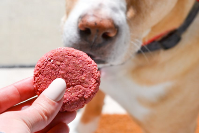 6 Easy Dog Treat Recipes for Valentine's Day