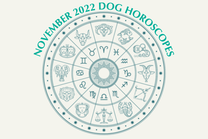 November Horoscope Web Image