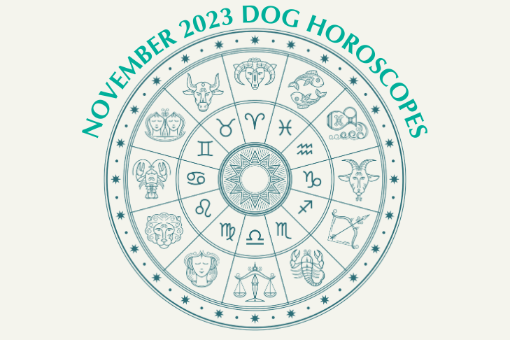 Dog Horoscopes: What to Expect in November 2023