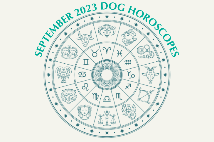 Dog Horoscopes: What to Expect in September 2023
