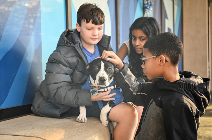 Simone’s Journey from Rescue Pup to Beloved Therapy Dog