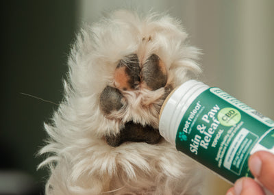 Try Skin & Paw Releaf For Winter Skin Protection