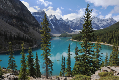 10 Dog-Friendly National Parks