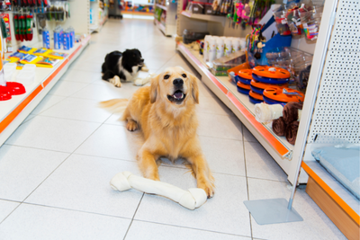 How to Read Pet Food &amp; Supplement Labels
