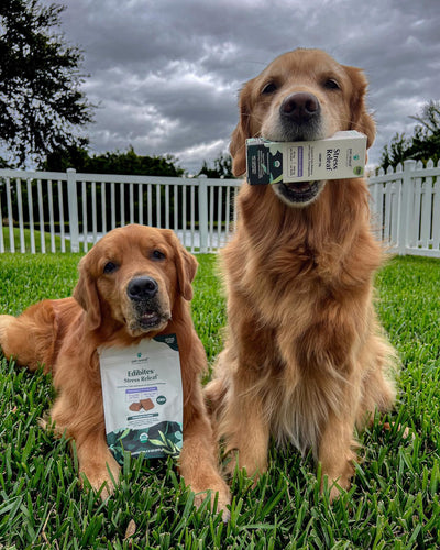 Which Pet Releaf Products To Use On Multiple Pets