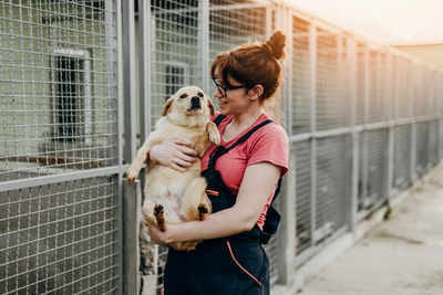 6 Ways To Prepare Your Home For Your New Rescue Pet