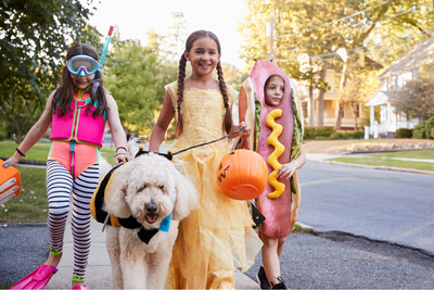 4 Ways to Keep Your Dog Calm on Halloween