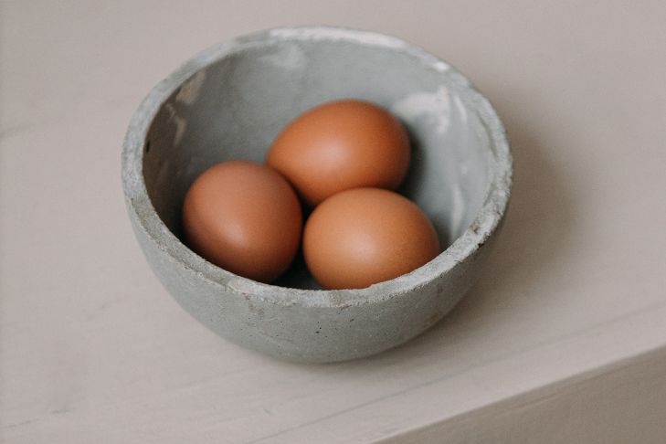 Eggs vs. Omega-3s for Pets: What’s the Difference?