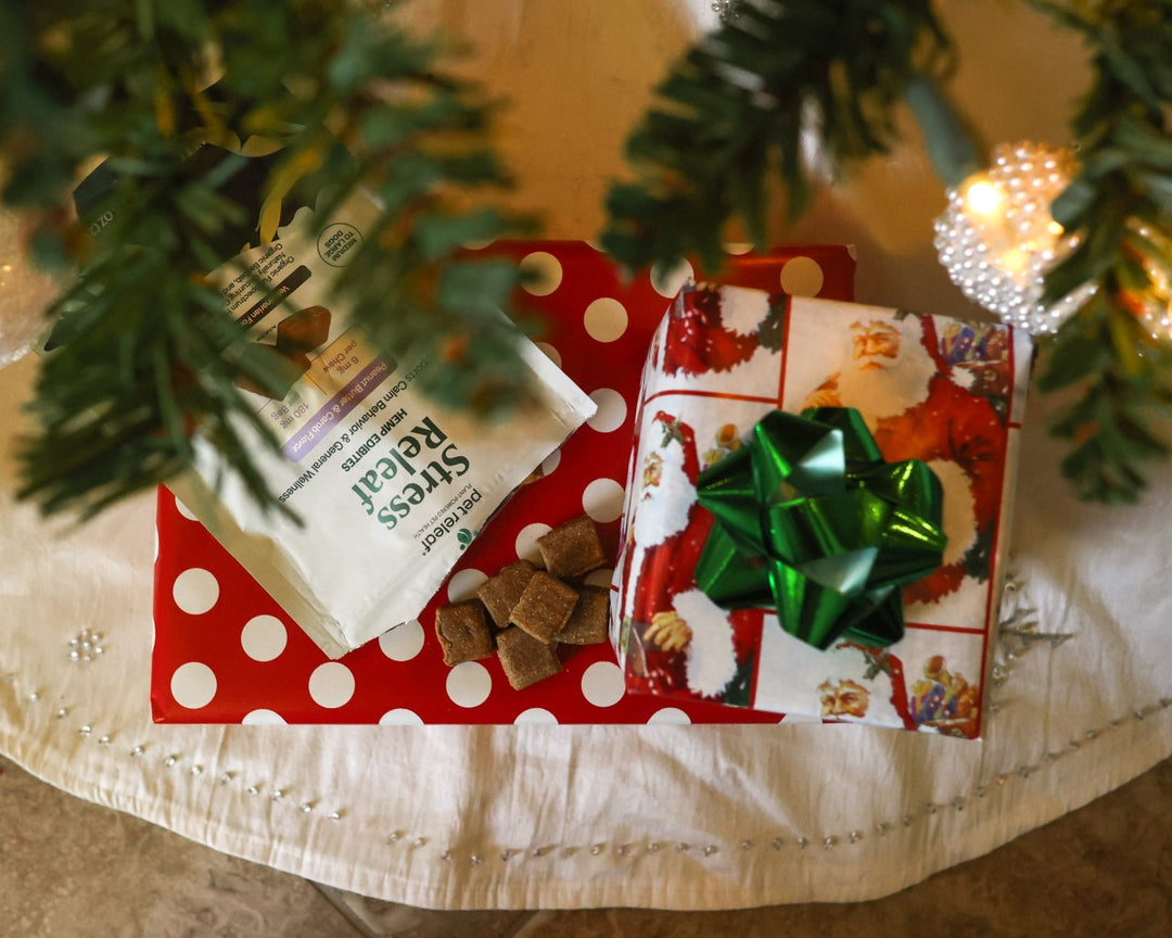 explorewithranger_holidays4