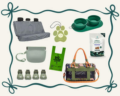 Gift Guide For The Dog You Take Everywhere