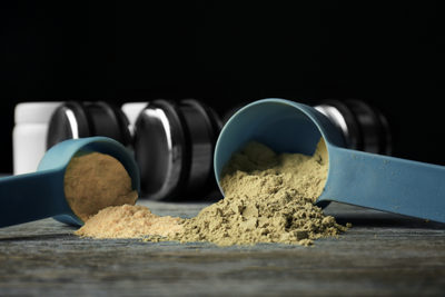 The Benefits of Hemp Protein For Pets