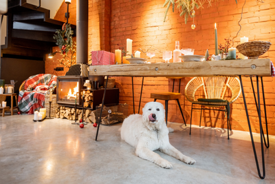 Holiday Gathering Safety Tips For Pets