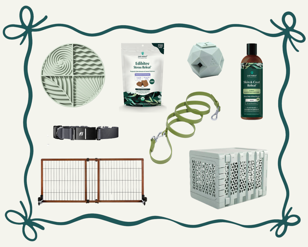 Gift Guide For Your Mischievous Dog