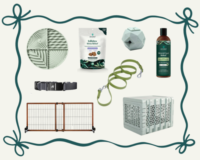 Gift Guide For Your Mischievous Dog