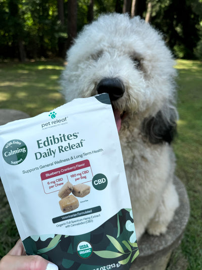 CBD Daily Releaf Edibites: Support Your Pup’s Immunity