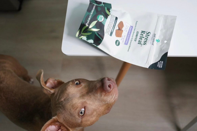 How To Use Pet Releaf’s Subscription Service