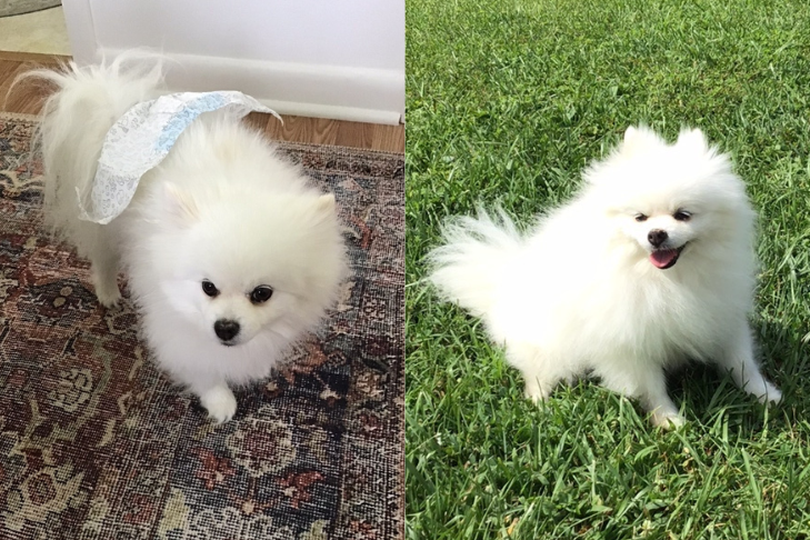 zoe before and after